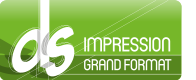 logo DS IMPRESSION